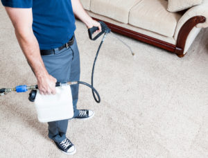 Carpet Treatment Services in Redondo Beach Ca 90277, 90278